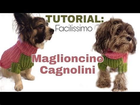 maglioncino fendi cane|Come realizzare un maglioncino al cane .